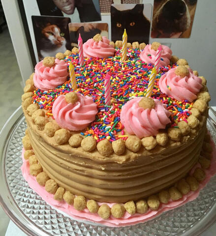 Peanut butter and jelly cake